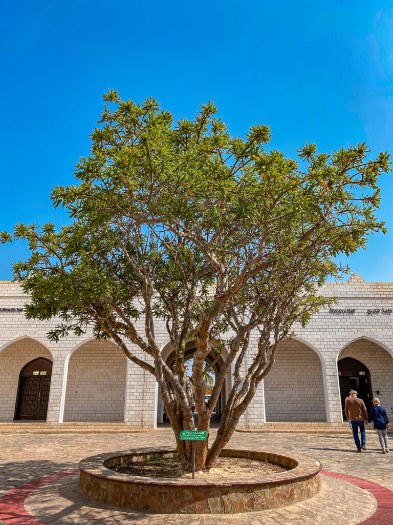 Múzeum kadidla v meste Salalah v Ománe