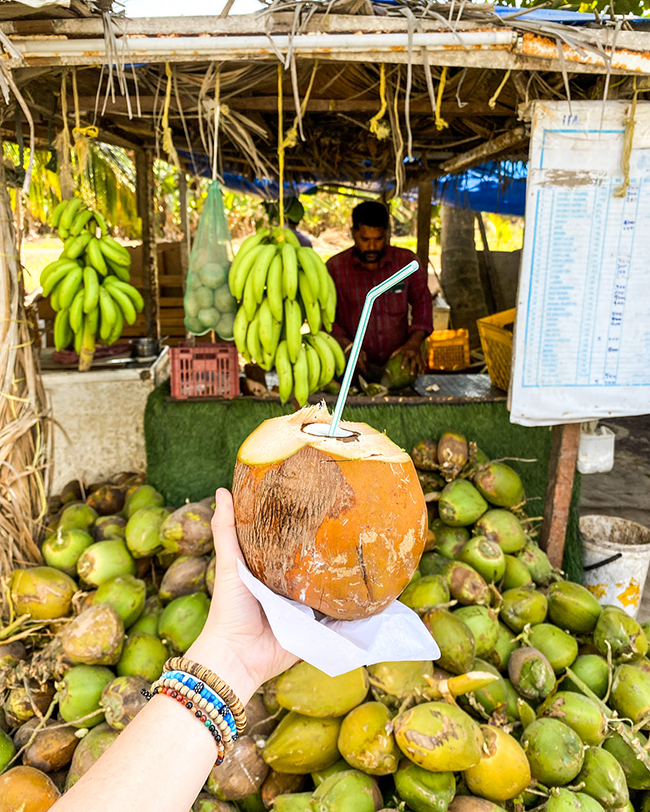 Osvieženie v podobe kokosovej vody, Omán - Dovolenka s CK Hydrotour