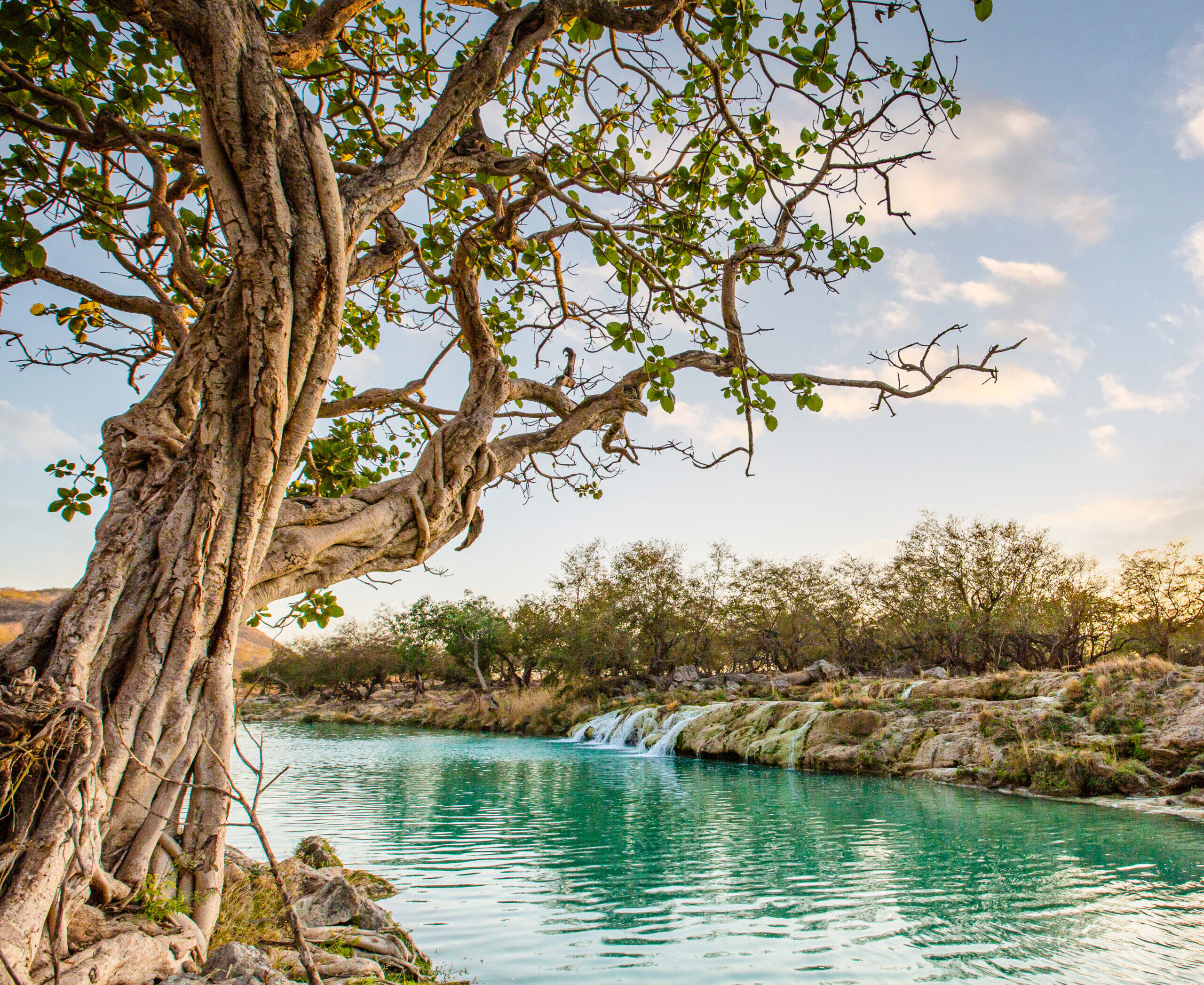 Wadi Darbat – krásne lagúny a vodopády