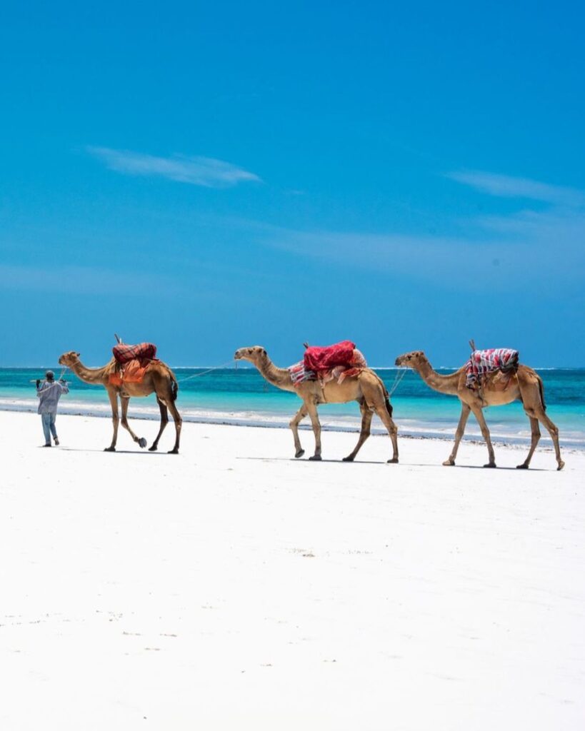 Pôsobivá Keňa – Srdce Afriky - Poznávanie s CK Hydrotour