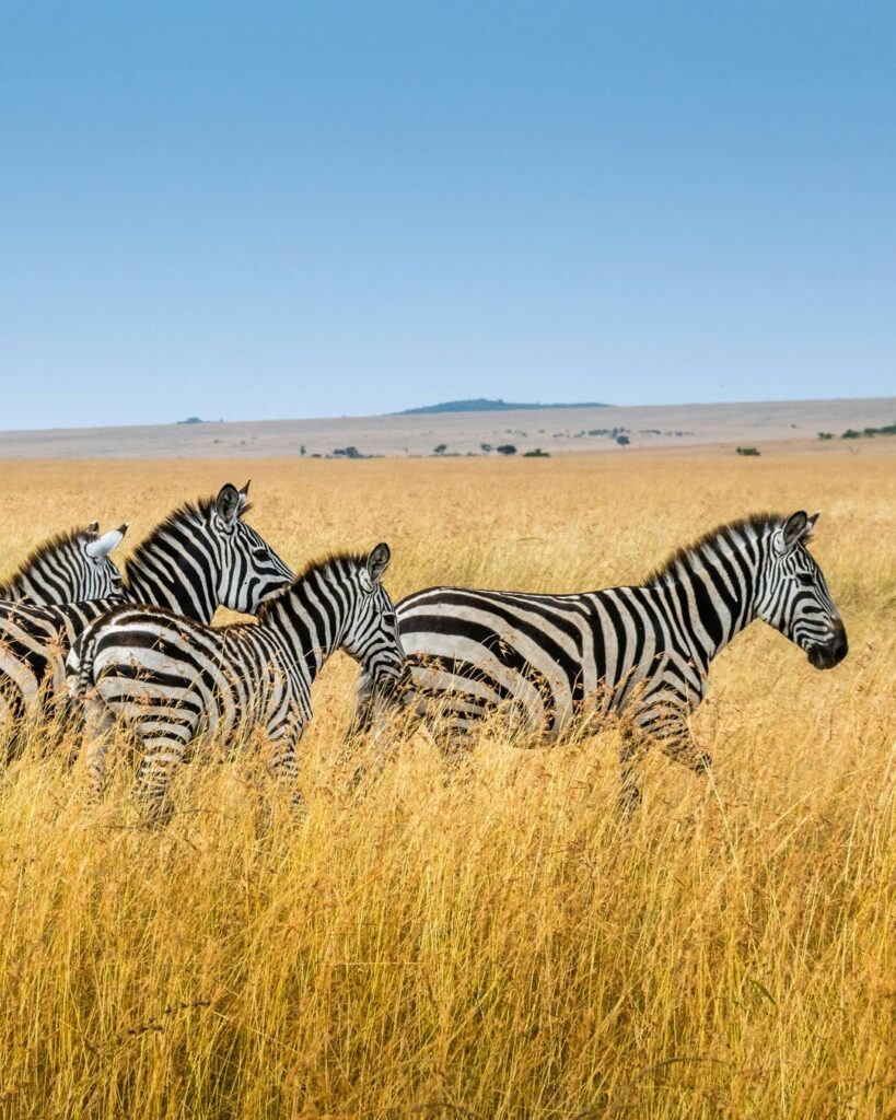 Pôsobivá Keňa – Srdce Afriky - Poznávanie s CK Hydrotour