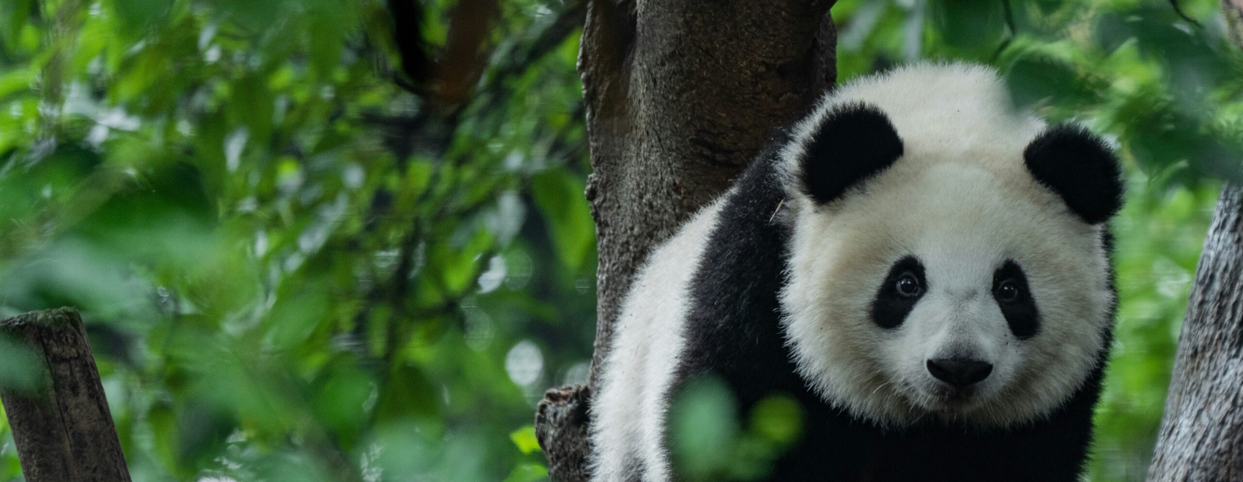 Exkluzívny poznávací zájazd s CK Hydrotour - Čína