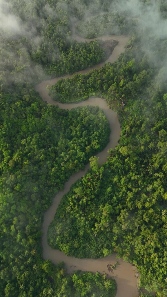 Nekonečné meandre na rieke Rio Madre de Dios v Peru